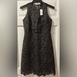 Ann Taylor Butterfly Dark Graphite Lace Dress, Size 0